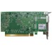 Netzwerkadapter CX555A InfiniBand 100 Gb LP